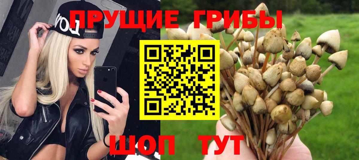 Псилоцибиновые грибы мухоморы  Псилоцибиновые грибы MAGIC MUSHROOMS  Вход с VPN  Кимовск 