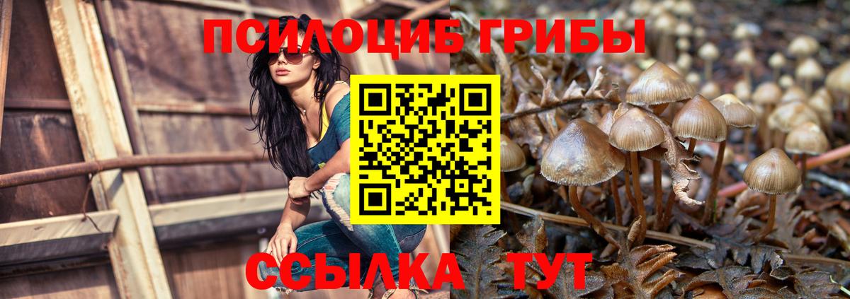 Галлюциногенные грибы прущие грибы Кимовск